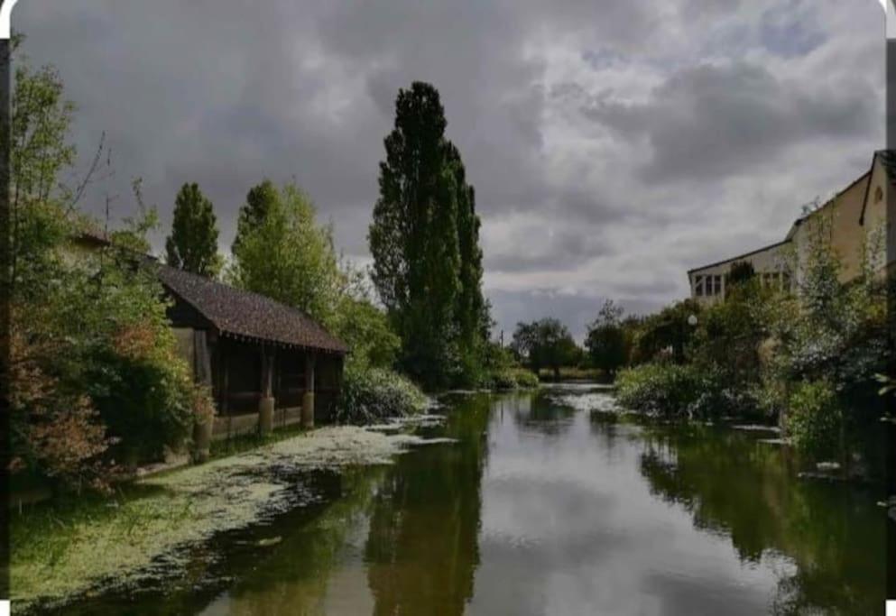 Appartement Rez De Jardin La Chartre-sur-le-Loir Exterior foto